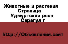  Животные и растения - Страница 3 . Удмуртская респ.,Сарапул г.